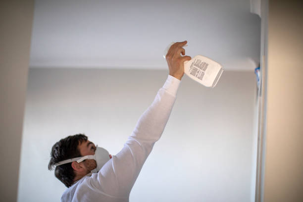  Cecil Bishop, PA Mold Removal Pros