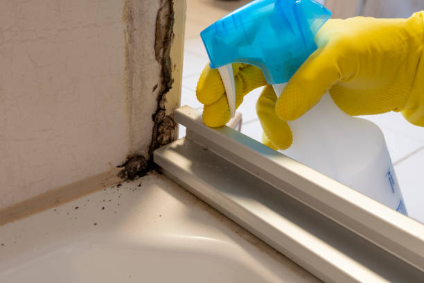 Best Professional Mold Removal  in Cecil Bishop, PA