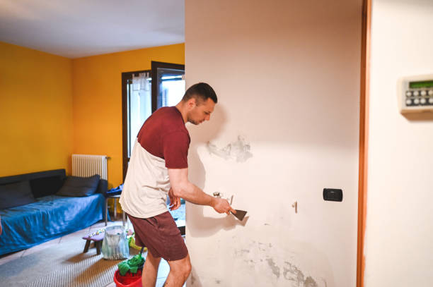 Best Same-Day Mold Removal  in Cecil Bishop, PA
